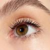 imageessence  Call Me Queen Dramatic False Lash Effect Waterproof Mascara 3 Pack  Bold Volume ampamp Length  Vegan ampamp Cruelty FreePack of 1