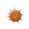 imageessence  Drop of Sunshine Bronzing Drops  Lightweight Buildable Hydrating Healthy Glow MultiUse Formula  Vegan ampamp Cruelty Free