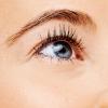 imageessence  Lash Princess Curl ampamp Volume Mascara  Vegan ampamp Cruelty Free04 Fl Oz Pack of 1
