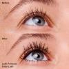 imageessence  Lash Princess False Lash Effect Mascara  Volumizing ampamp Lengthening  Cruelty Free ampamp Paraben FreeBlack