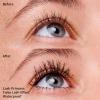 imageessence  Lash Princess False Lash Waterproof Mascara  Vegan ampamp Cruelty Free  For Length ampamp Volume Pack of 1Black