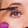 imageessence  Lash Princess False Lash Waterproof Mascara  Vegan ampamp Cruelty Free  For Length ampamp Volume Pack of 1Black
