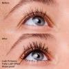 imageessence  Lash Princess False Lash Waterproof Mascara  Vegan ampamp Cruelty Free  For Length ampamp Volume Pack of 1Black