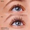 imageessence  Lash Princess Sculpted Volume Mascara  Paraben Free  Cruelty Free  Black 3count12 Fl Oz Pack of 1
